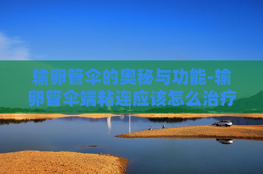 输卵管伞的奥秘与功能-输卵管伞端粘连应该怎么治疗