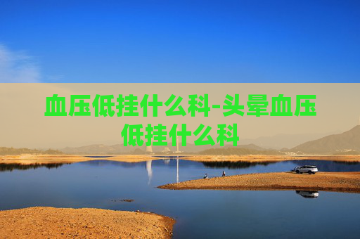 血压低挂什么科-头晕血压低挂什么科