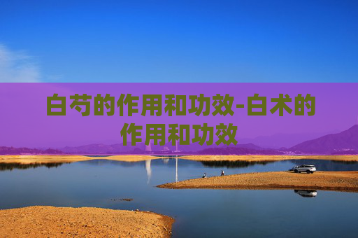 白芍的作用和功效-白术的作用和功效