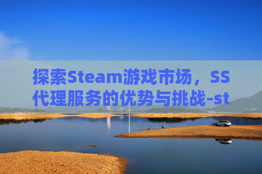 探索Steam游戏市场，SS代理服务的优势与挑战-steam平台国内代理