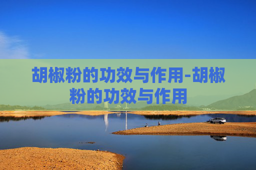 胡椒粉的功效与作用-胡椒粉的功效与作用