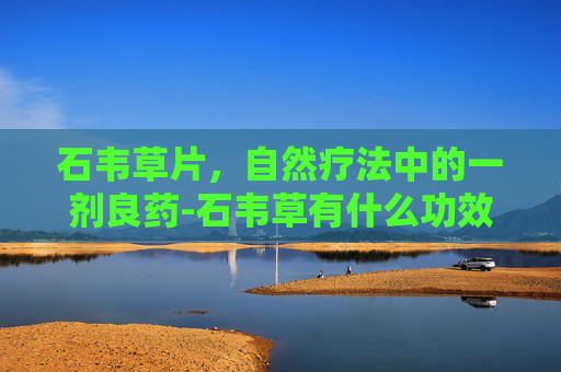 石韦草片，自然疗法中的一剂良药-石韦草有什么功效与禁忌