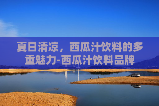 夏日清凉，西瓜汁饮料的多重魅力-西瓜汁饮料品牌