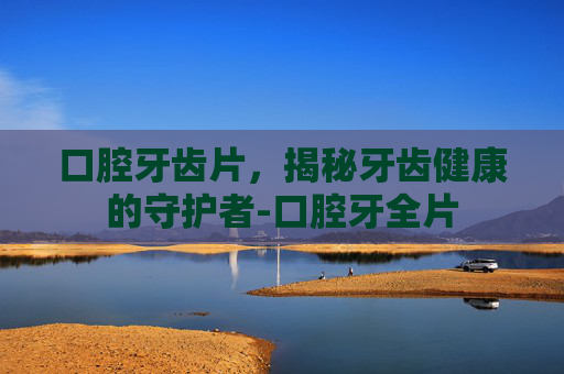 口腔牙齿片，揭秘牙齿健康的守护者-口腔牙全片