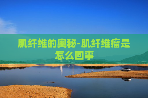 肌纤维的奥秘-肌纤维瘤是怎么回事