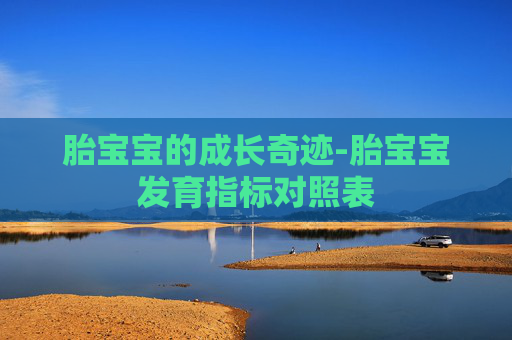 胎宝宝的成长奇迹-胎宝宝发育指标对照表