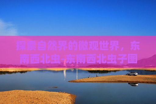探索自然界的微观世界，东南西北虫-东南西北虫子图片