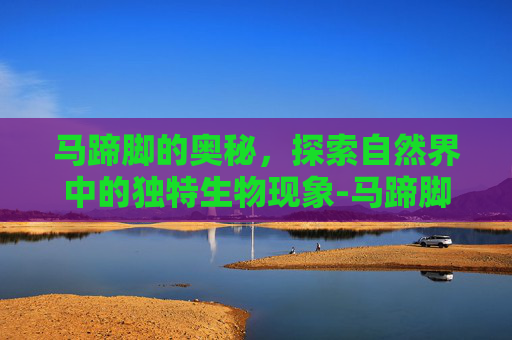 马蹄脚的奥秘，探索自然界中的独特生物现象-马蹄脚是什么原因
