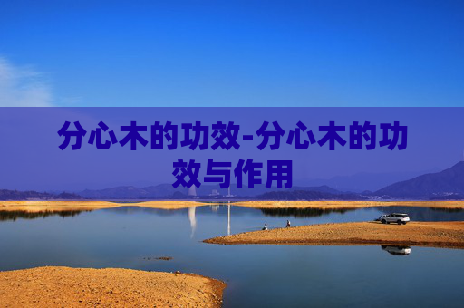 分心木的功效-分心木的功效与作用
