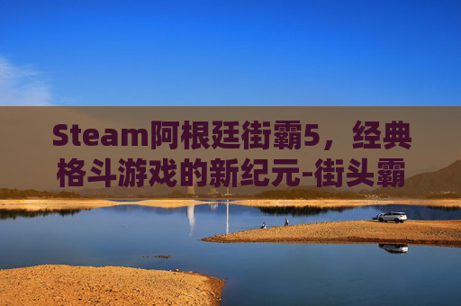 Steam阿根廷街霸5，经典格斗游戏的新纪元-街头霸王阿杜根