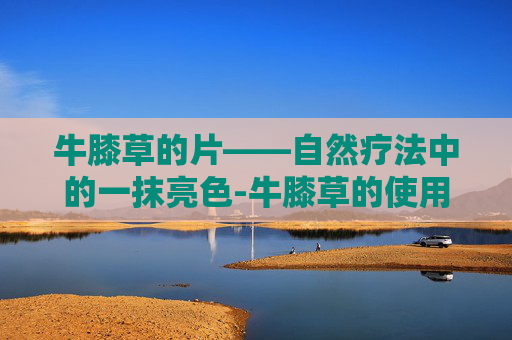 牛膝草的片——自然疗法中的一抹亮色-牛膝草的使用方法