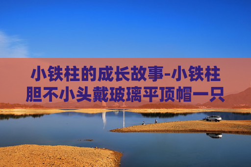 小铁柱的成长故事-小铁柱胆不小头戴玻璃平顶帽一只眼睛亮闪闪哪黑往哪瞧