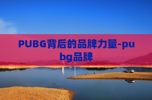 PUBG背后的品牌力量-pubg品牌