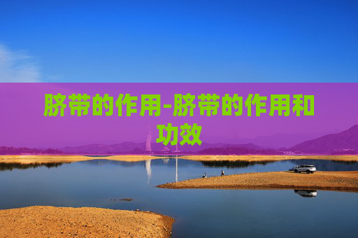 脐带的作用-脐带的作用和功效