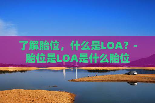 了解胎位，什么是LOA？-胎位是LOA是什么胎位