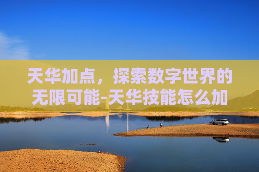 天华加点，探索数字世界的无限可能-天华技能怎么加点