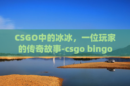 CSGO中的冰冰，一位玩家的传奇故事-csgo bingo