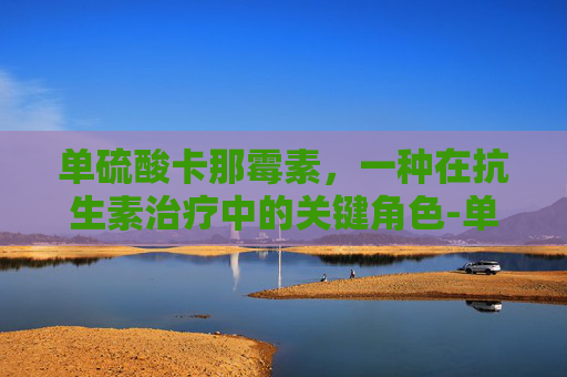 单硫酸卡那霉素，一种在抗生素治疗中的关键角色-单硫酸卡那霉素的作用与功效