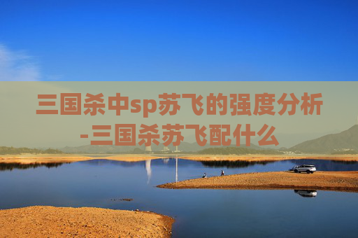 三国杀中sp苏飞的强度分析-三国杀苏飞配什么