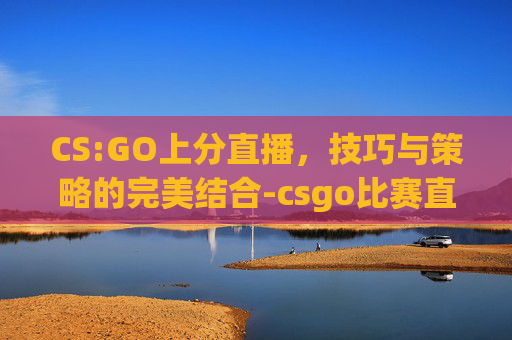CS:GO上分直播，技巧与策略的完美结合-csgo比赛直播流