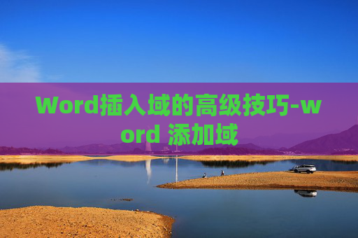 Word插入域的高级技巧-word 添加域