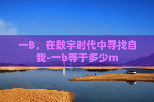 一B,在数字时代中寻找自我-一b等于多少m 一B,在数字时代中寻找自我-一b等于多少m