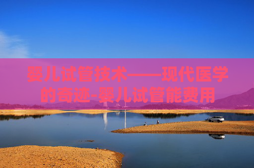 婴儿试管技术——现代医学的奇迹-婴儿试管能费用