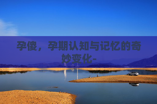 孕傻,孕期认知与记忆的奇妙变化- 孕傻,孕期认知与记忆的奇妙变化-