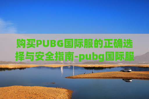 购买PUBG国际服的正确选择与安全指南-pubg国际服怎么选择服务器