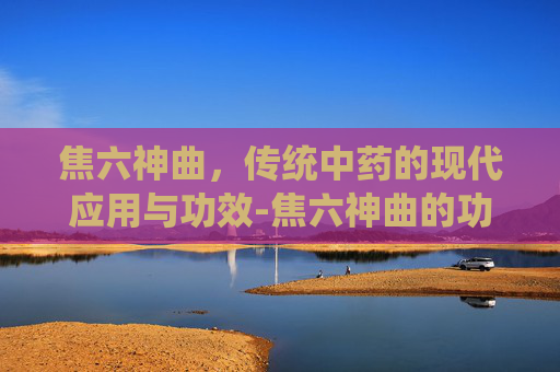 焦六神曲，传统中药的现代应用与功效-焦六神曲的功效和作用主治