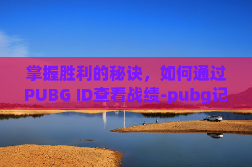 掌握胜利的秘诀，如何通过PUBG ID查看战绩-pubg记录查询