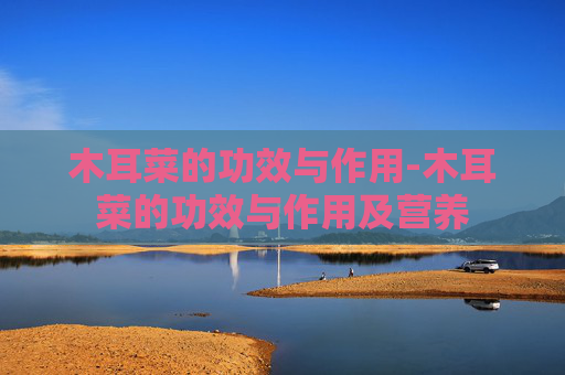 木耳菜的功效与作用-木耳菜的功效与作用及营养