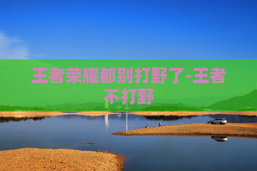 王者荣耀都别打野了-王者不打野