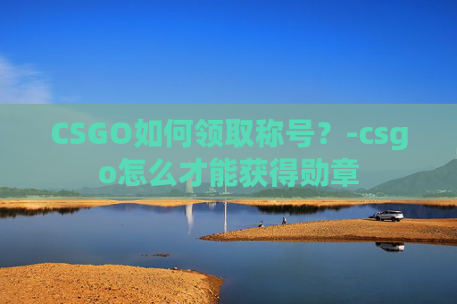 CSGO如何领取称号？-csgo怎么才能获得勋章