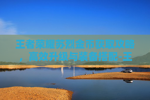 王者荣耀苏烈金币获取攻略，高效升级与装备搭配-王者荣耀苏烈金币怎么用