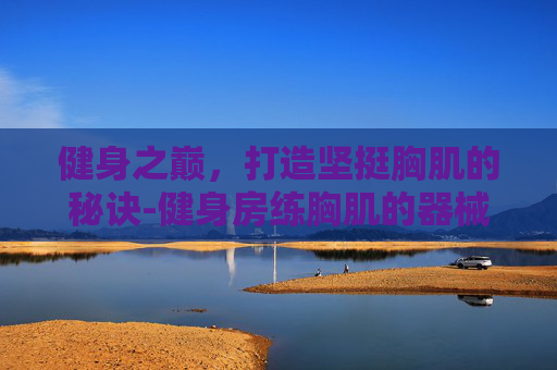 健身之巅，打造坚挺胸肌的秘诀-健身房练胸肌的器械
