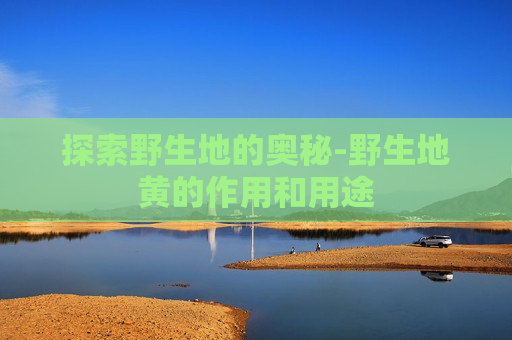 探索野生地的奥秘-野生地黄的作用和用途