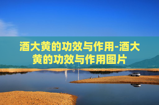 酒大黄的功效与作用-酒大黄的功效与作用图片