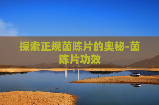 探索正规茵陈片的奥秘-茵陈片功效