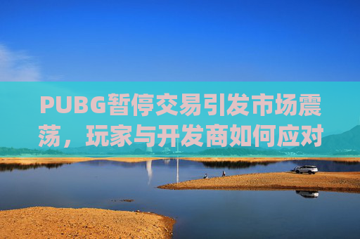 PUBG暂停交易引发市场震荡，玩家与开发商如何应对？-pubg解除交易限制