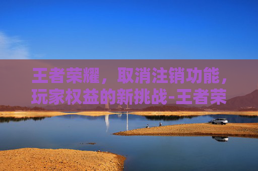 王者荣耀，取消注销功能，玩家权益的新挑战-王者荣耀取消注销怎么弄