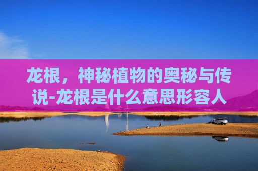 龙根，神秘植物的奥秘与传说-龙根是什么意思形容人