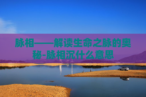 脉相——解读生命之脉的奥秘-脉相沉什么意思