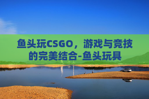 鱼头玩CSGO，游戏与竞技的完美结合-鱼头玩具