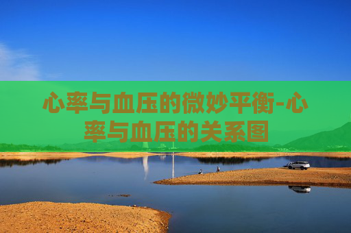 心率与血压的微妙平衡-心率与血压的关系图