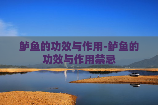 鲈鱼的功效与作用-鲈鱼的功效与作用禁忌