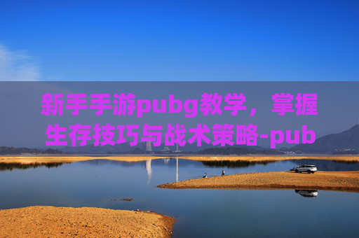 新手手游pubg教学，掌握生存技巧与战术策略-pubg有没有新手教程