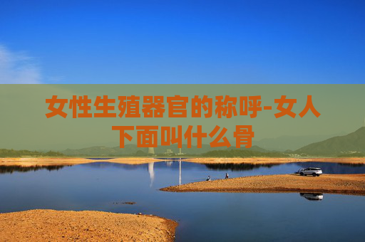 女性生殖器官的称呼-女人下面叫什么骨