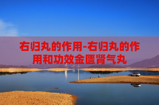 右归丸的作用-右归丸的作用和功效金匮肾气丸
