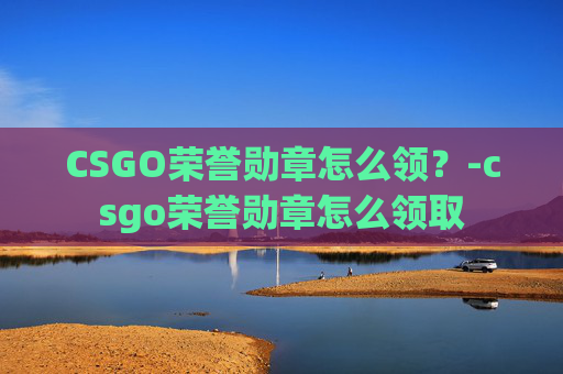 CSGO荣誉勋章怎么领？-csgo荣誉勋章怎么领取